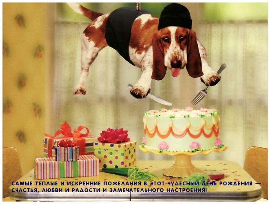 С днем рождения! 430 прикольных открыток со смешными поздравлениями #205