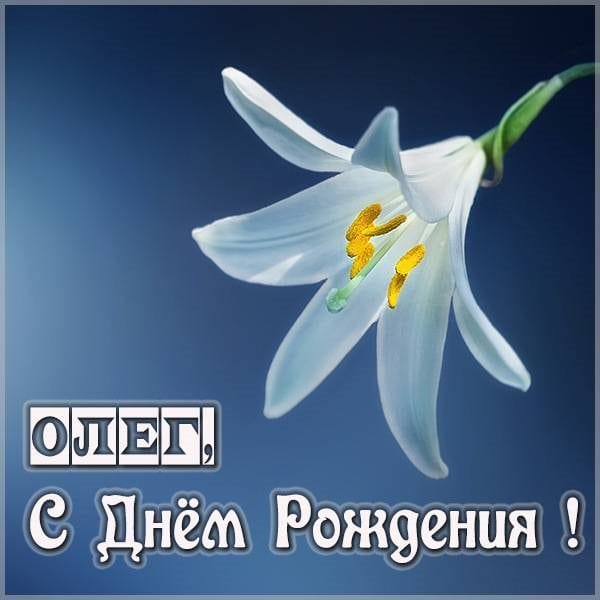 Олег, с днем рождения! 165 прикольных открыток с поздравлениями #10