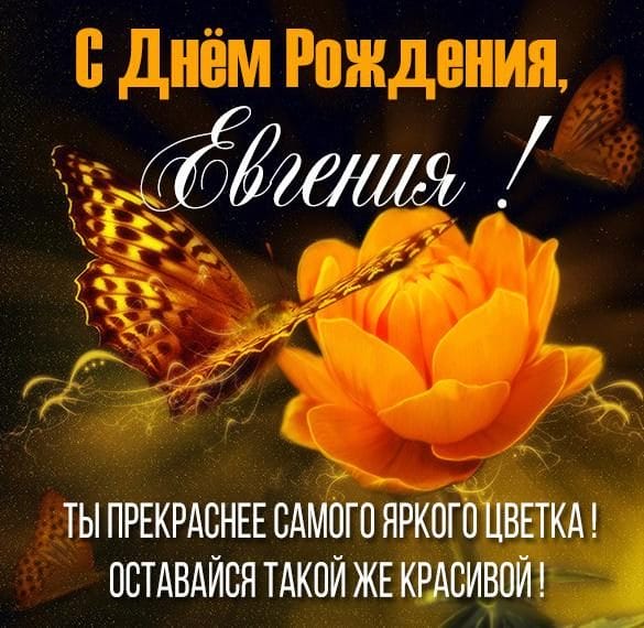 Женя, с днем рождения! 150 открыток для девушки Евгении #120