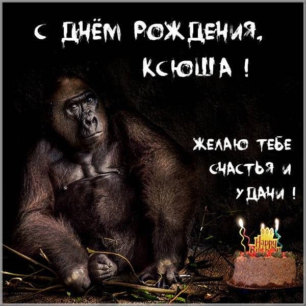 С днем рождения, Ксения! 170 открыток с поздравлениями #119