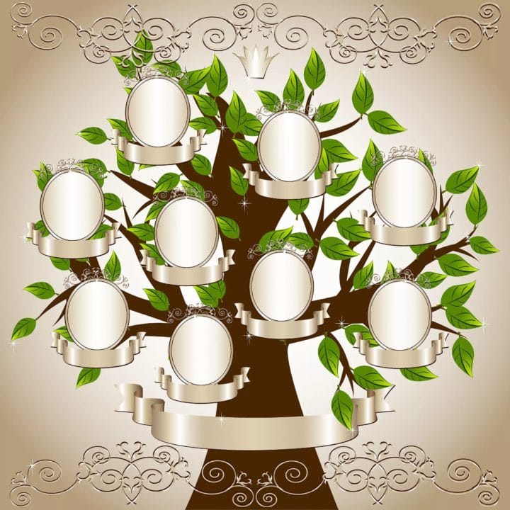 30 шаблонов генеалогического дерева для заполнения #5