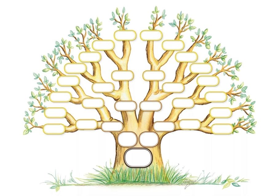 30 шаблонов генеалогического дерева для заполнения #4