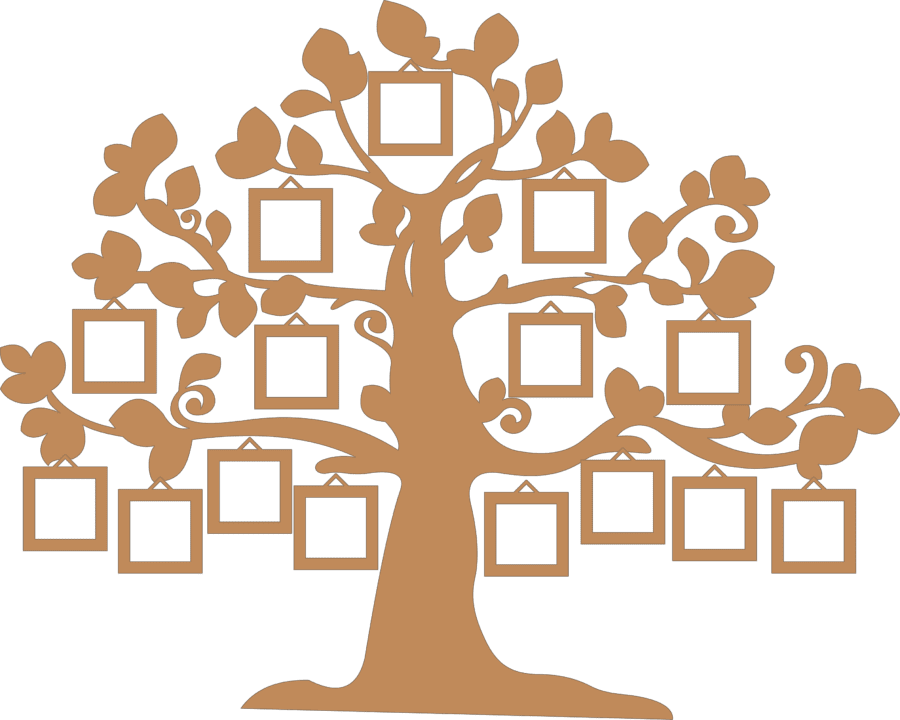 30 шаблонов генеалогического дерева для заполнения #23