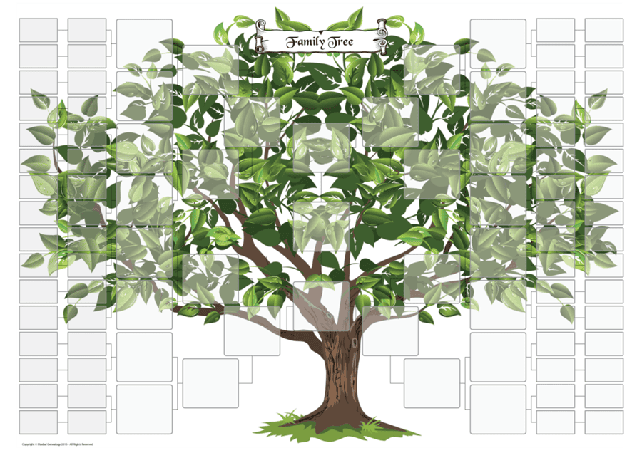 30 шаблонов генеалогического дерева для заполнения #22