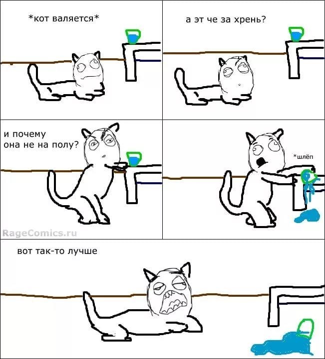 80 мемов про котиков #58