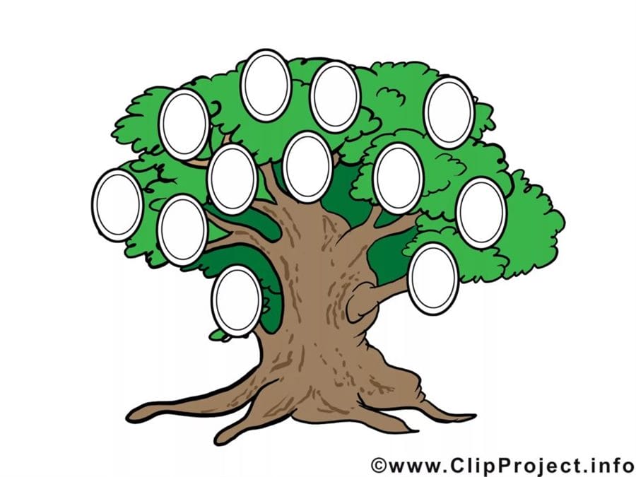 30 шаблонов генеалогического дерева для заполнения #15