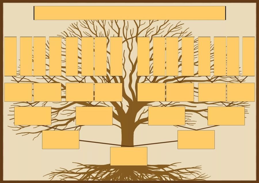 30 шаблонов генеалогического дерева для заполнения #27