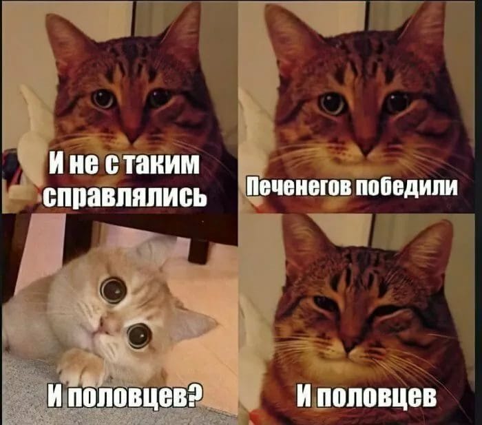 80 мемов про котиков #49