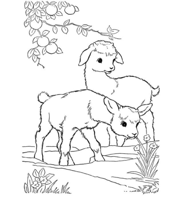 110 раскрасок с животными для девочек и мальчиков #105