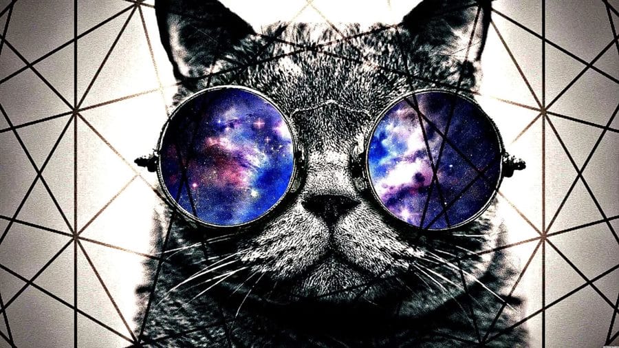 105 картинок с котами в очках #91