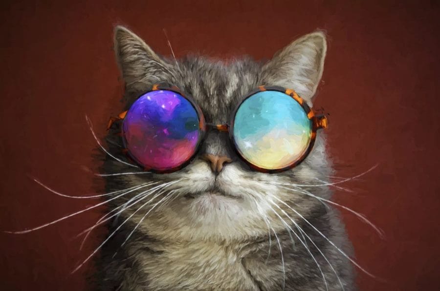 105 картинок с котами в очках #77