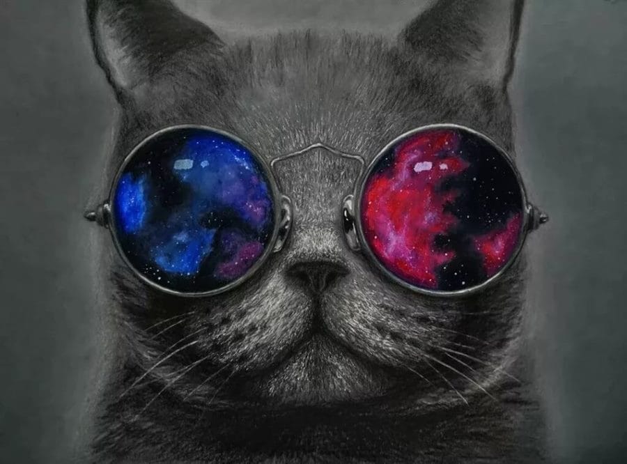 105 картинок с котами в очках #74