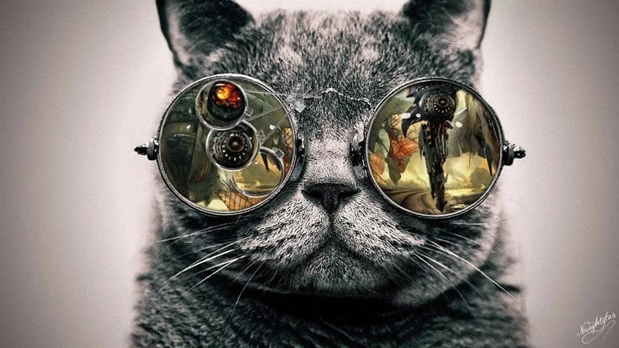 105 картинок с котами в очках #73