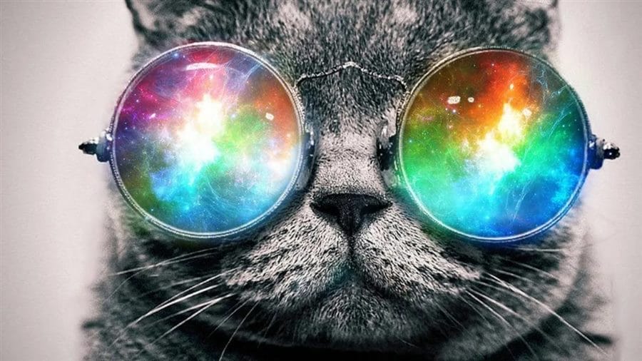 105 картинок с котами в очках #53