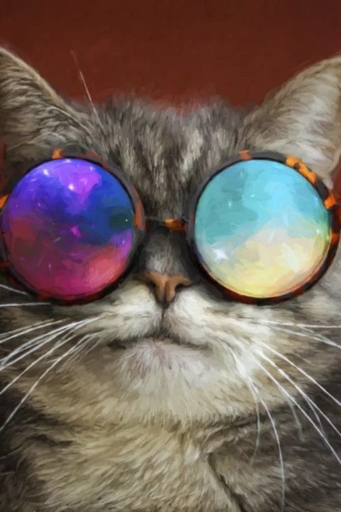 105 картинок с котами в очках #41