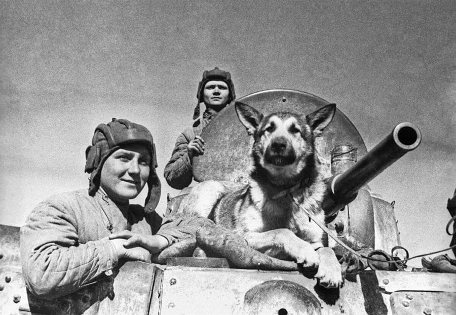 180 фото военных лет (1941-1945) хорошего качества #60