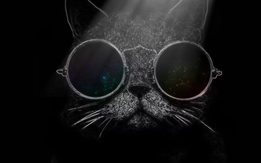 105 картинок с котами в очках #33
