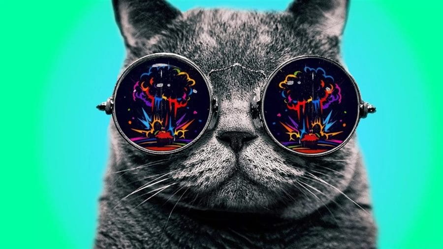 105 картинок с котами в очках #20