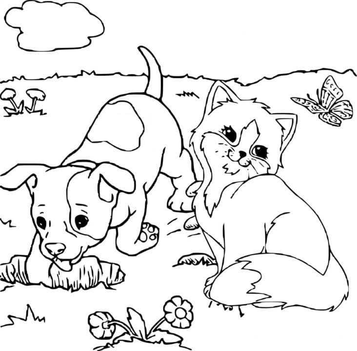 110 раскрасок с животными для девочек и мальчиков #16