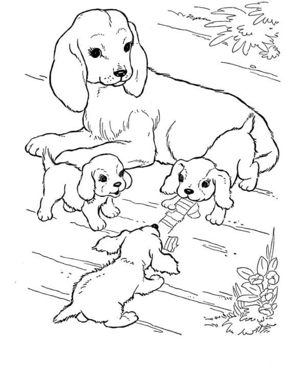 110 раскрасок с животными для девочек и мальчиков #15