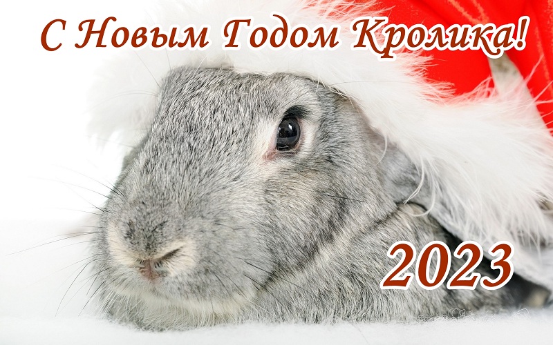 310 открыток с поздравлениями с Новым 2023 Годом кролика #315