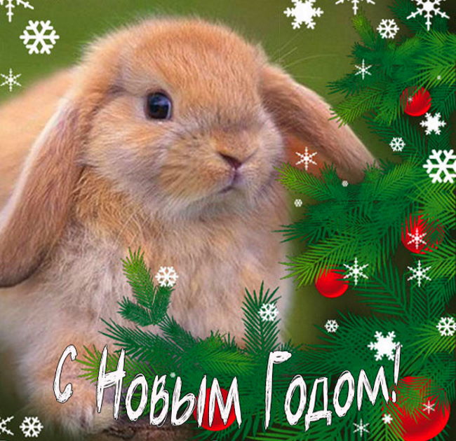 310 открыток с поздравлениями с Новым 2023 Годом кролика #350