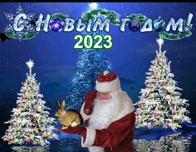 310 открыток с поздравлениями с Новым 2023 Годом кролика #259
