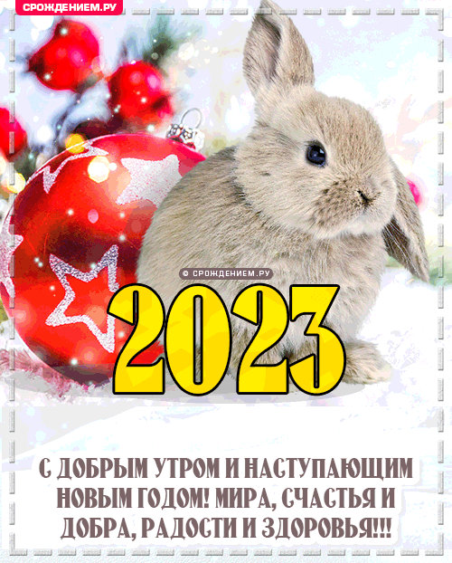 310 открыток с поздравлениями с Новым 2023 Годом кролика #241