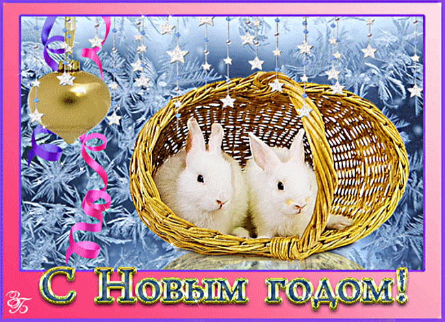 310 открыток с поздравлениями с Новым 2023 Годом кролика #309