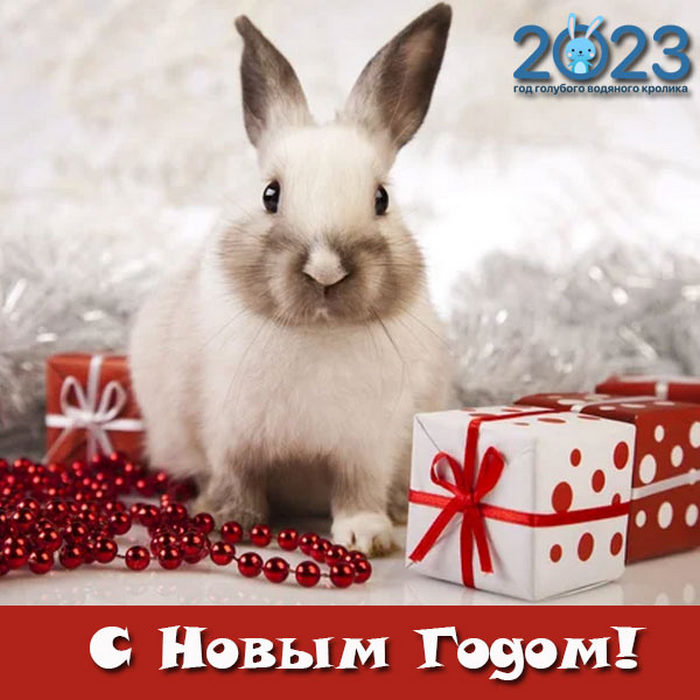 310 открыток с поздравлениями с Новым 2023 Годом кролика #328