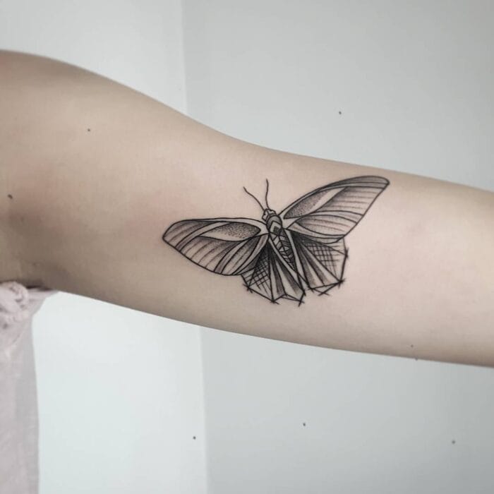 Эскизы тату с бабочкой – 80 лучших фото-идей со значением #57