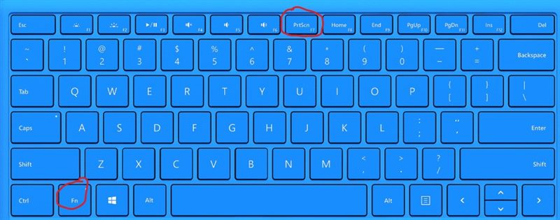 Как включить подсветку на клавиатуре ноутбука: быстрая инструкция (Samsung, Acer, Asus, Dell, HP) #16