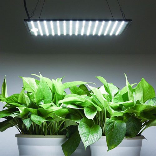 ТОП-10 ламп для роста растений: выбор лучших выриантов по цвету, мощности и размеру (правила использования фитоламп) #8