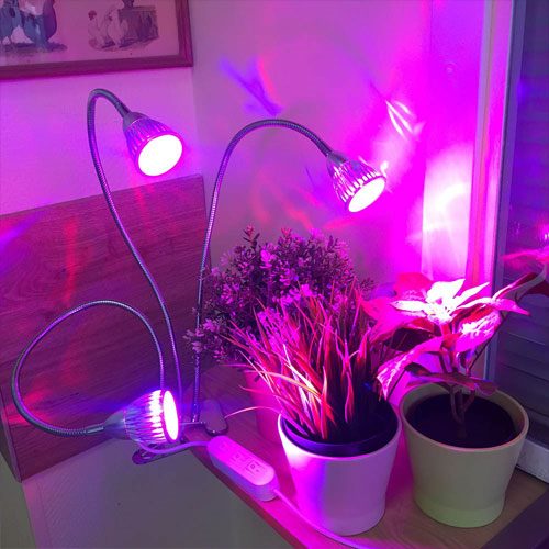 ТОП-10 ламп для роста растений: выбор лучших выриантов по цвету, мощности и размеру (правила использования фитоламп) #12