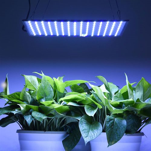 ТОП-10 ламп для роста растений: выбор лучших выриантов по цвету, мощности и размеру (правила использования фитоламп) #9