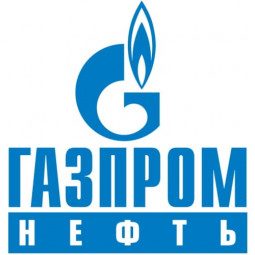 15 лучших АЗС России где самый качественный бензин #3