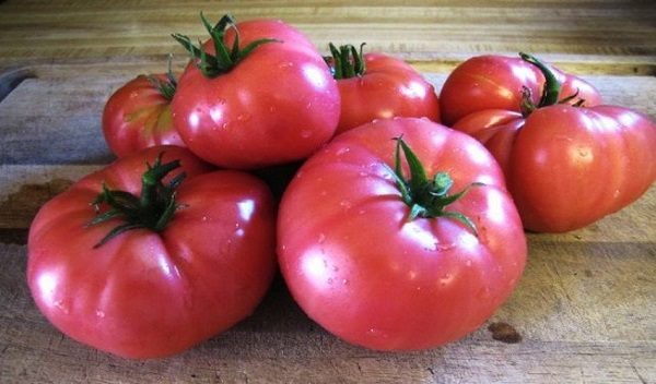 ТОП-55 лучших сортов томатов 2023 (для теплиц и открытого грунта) #94