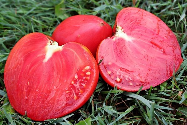 ТОП-55 лучших сортов томатов 2023 (для теплиц и открытого грунта) #103