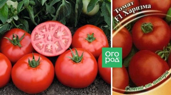 ТОП-55 лучших сортов томатов 2023 (для теплиц и открытого грунта) #101