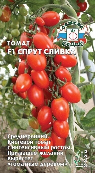 ТОП-55 лучших сортов томатов 2023 (для теплиц и открытого грунта) #16