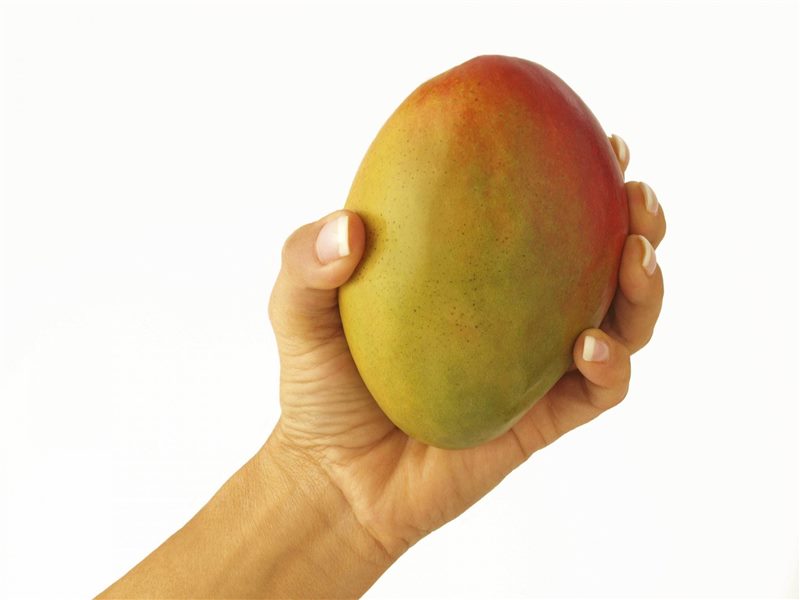 Как вырастить манго из косточки в домашних условиях (подробная инструкция) #9