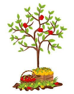 Подкормка яблонь осенью: чем подкормить, сроки и правила (подробно) #12