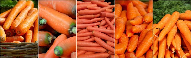 ТОП-25 Лучших сорта моркови на 2023 год (ранние, среднеспелые, поздние) #1