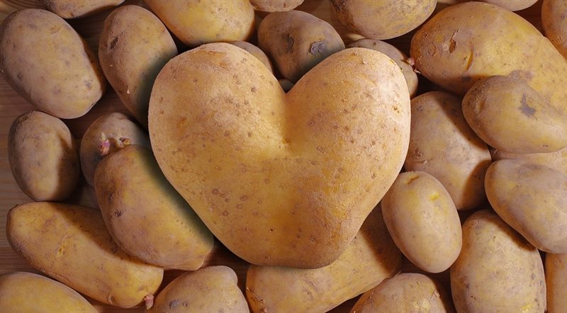 ТОП-15 Лучших органических удобрений для Картофеля при посадке в лунку #6