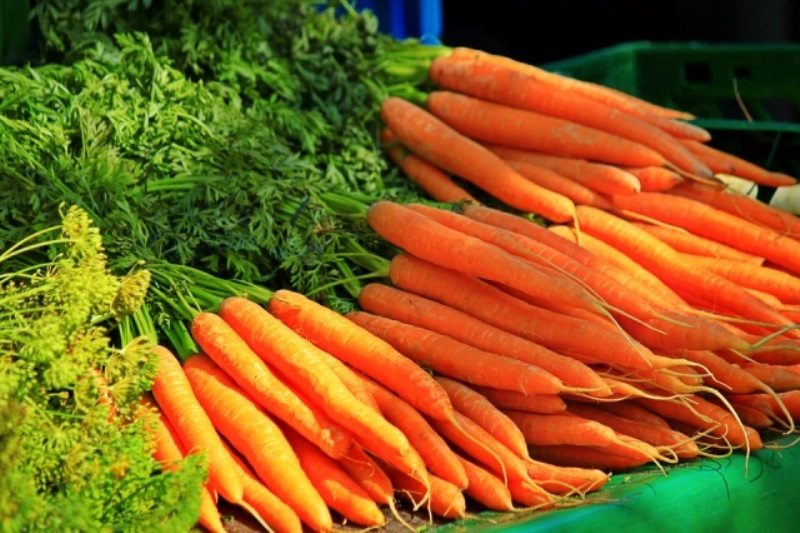 ТОП-25 Лучших сорта моркови на 2023 год (ранние, среднеспелые, поздние) #8