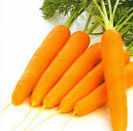 ТОП-25 Лучших сорта моркови на 2023 год (ранние, среднеспелые, поздние) #11