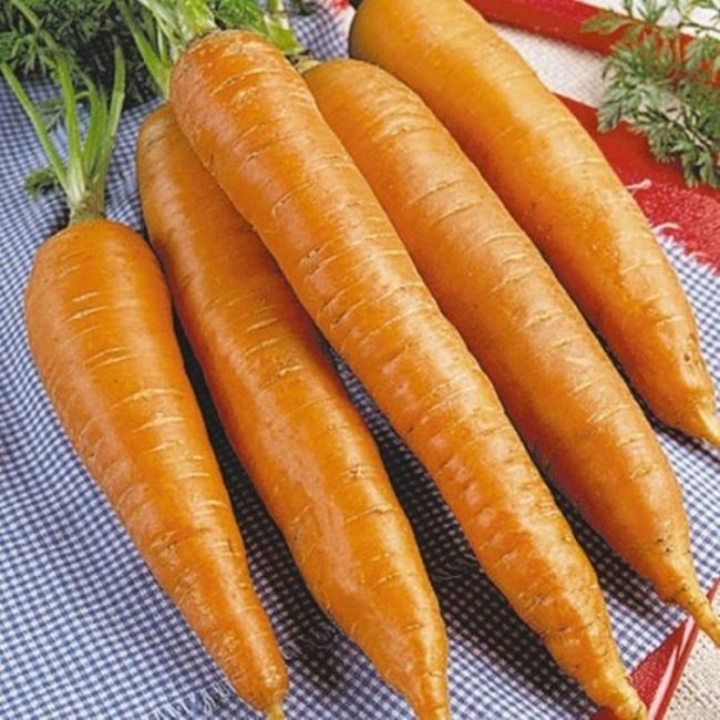 ТОП-25 Лучших сорта моркови на 2023 год (ранние, среднеспелые, поздние) #15