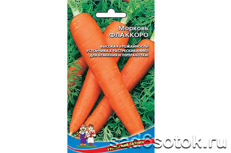 ТОП-25 Лучших сорта моркови на 2023 год (ранние, среднеспелые, поздние) #26