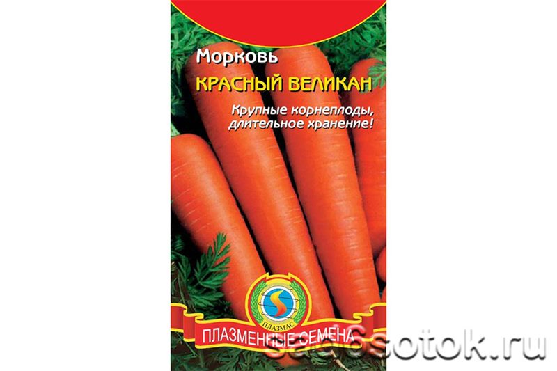 ТОП-25 Лучших сорта моркови на 2023 год (ранние, среднеспелые, поздние) #25