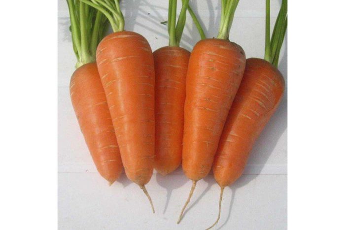 ТОП-25 Лучших сорта моркови на 2023 год (ранние, среднеспелые, поздние) #16